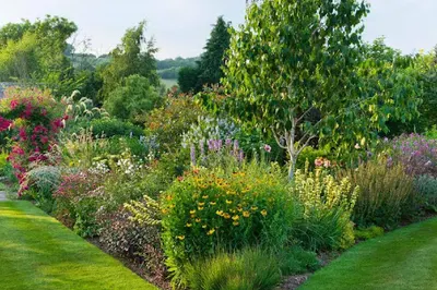 Usługi Ogrodnicze Elflora Paweł Pętlicki